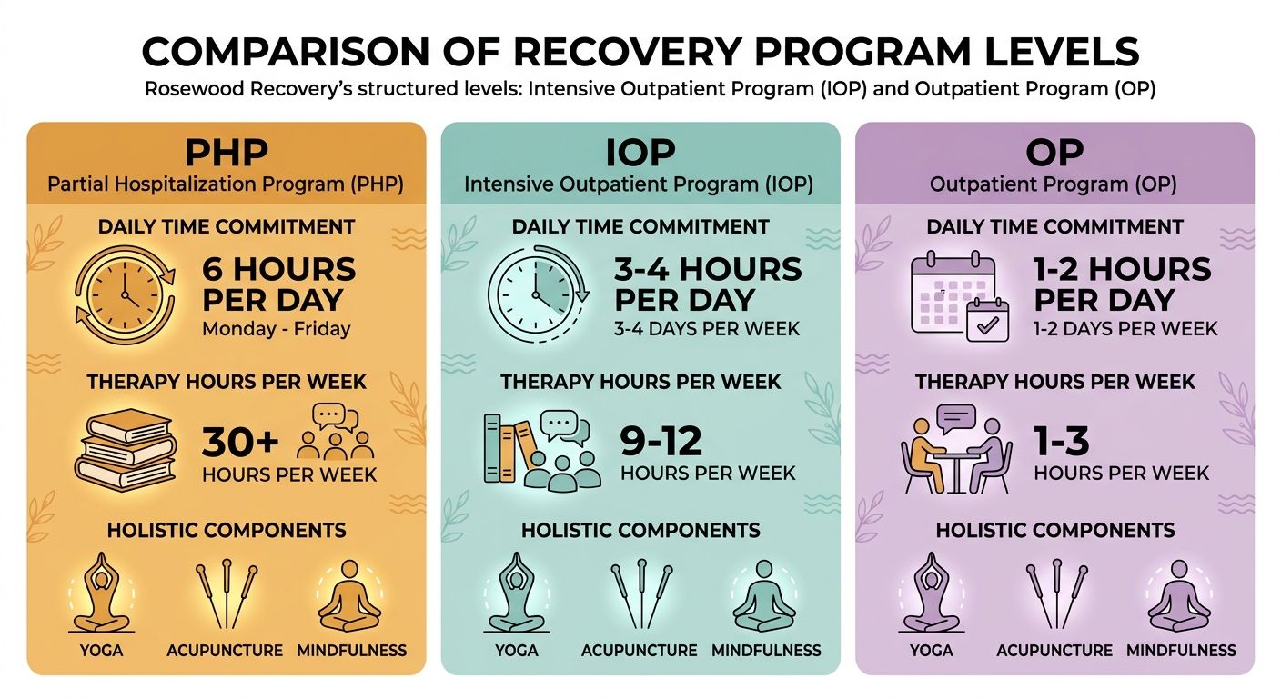 Infographic showing three colored sections for Partial Hospitalization, Intensive Outpatient, and Outpatient programs with daily time, therapy hours, and holistic icon components.